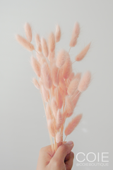Bunny Tails - Pink