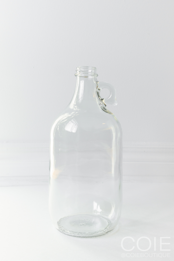 Half Gallon Glass Jug for Pampas Grass on White Background