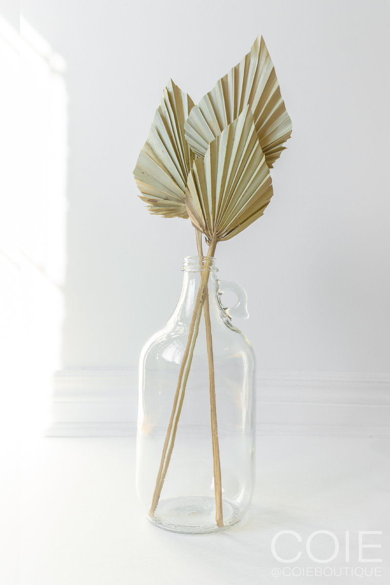 Half Gallon Glass Jug for Pampas Grass on White Background holding Dried Palm Leaves
